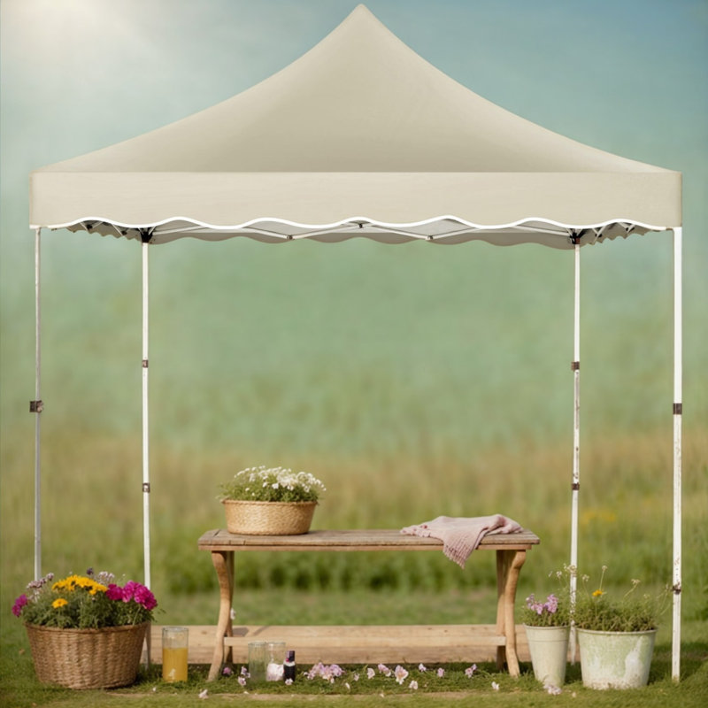 10'x10' Pop Up Canopy Wavy edge tent with One Person Set Up Center Lock and Storage bag, Khaki