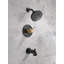 Ensemble de robinet de baignoire et de douche Nicoli 14 Series H2Okinetic, pomme de douche et poignées noir mat / or brossé, ensemble de garniture de valve, noir mat / bronze champagne (valve incluse)-89151132
