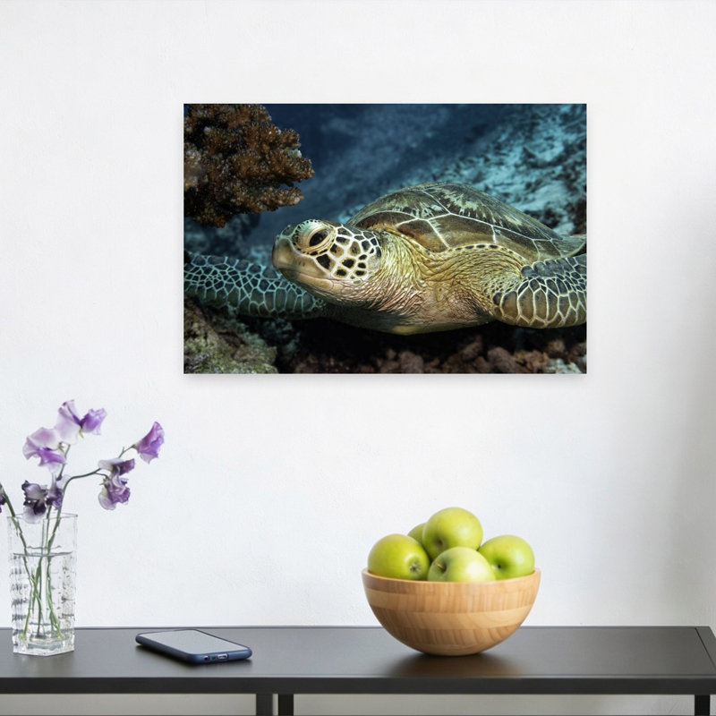 Serene Sea Turtle Peaceful Serene Vibrant Turtle Nature Ocean Wall Art Print, 30.48cm H x 45.72cm W