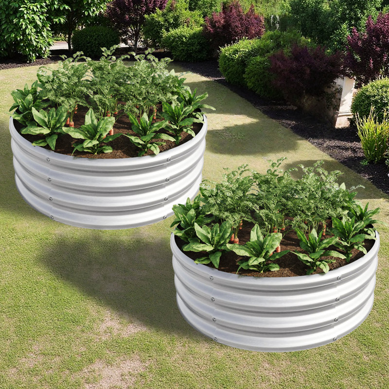 2 pièces W840116761 Lit surélevé en métal galvanisé pour la culture de fraises et de maïs, plantes grasses à double couche de protection contre la corrosion, revêtement de rouille