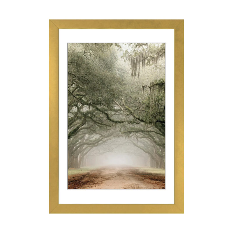 Plantation Drive, Gold Open Corner Frame Paper, 24" H x 16" W x 1" D