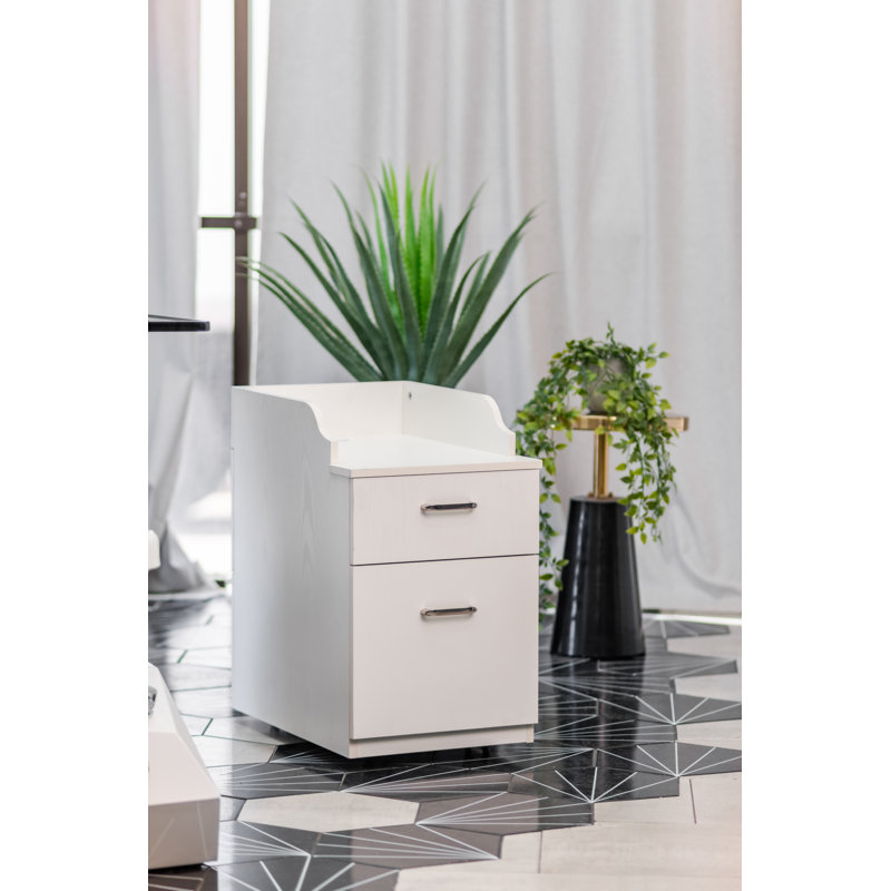 AVIGNON Pedicart with back cabinet - 2-Drawer