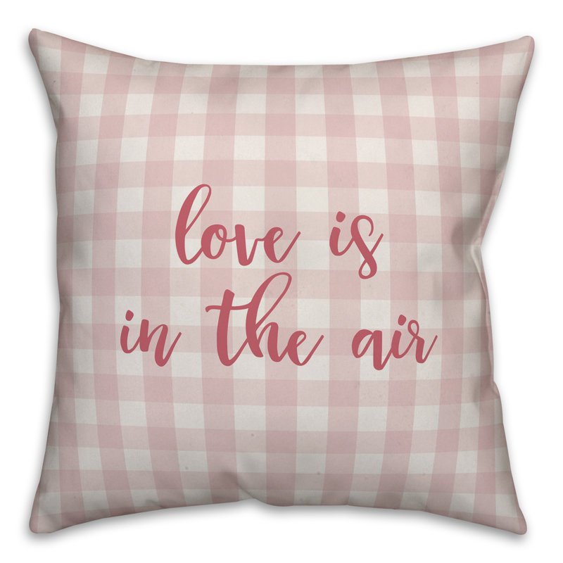  Coussin 16 po Love is in The Air Plaid, Coussin décoratif, Rose