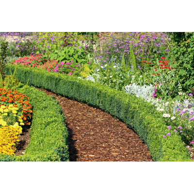 Herb and Flower Garden by Fotolinchen