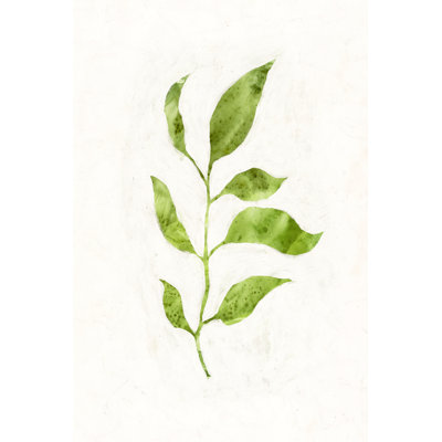 Sapling II by Victoria Borges - Wrapped Canvas Art Prints