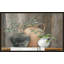 Simplicité - peinture-77327982-77327978