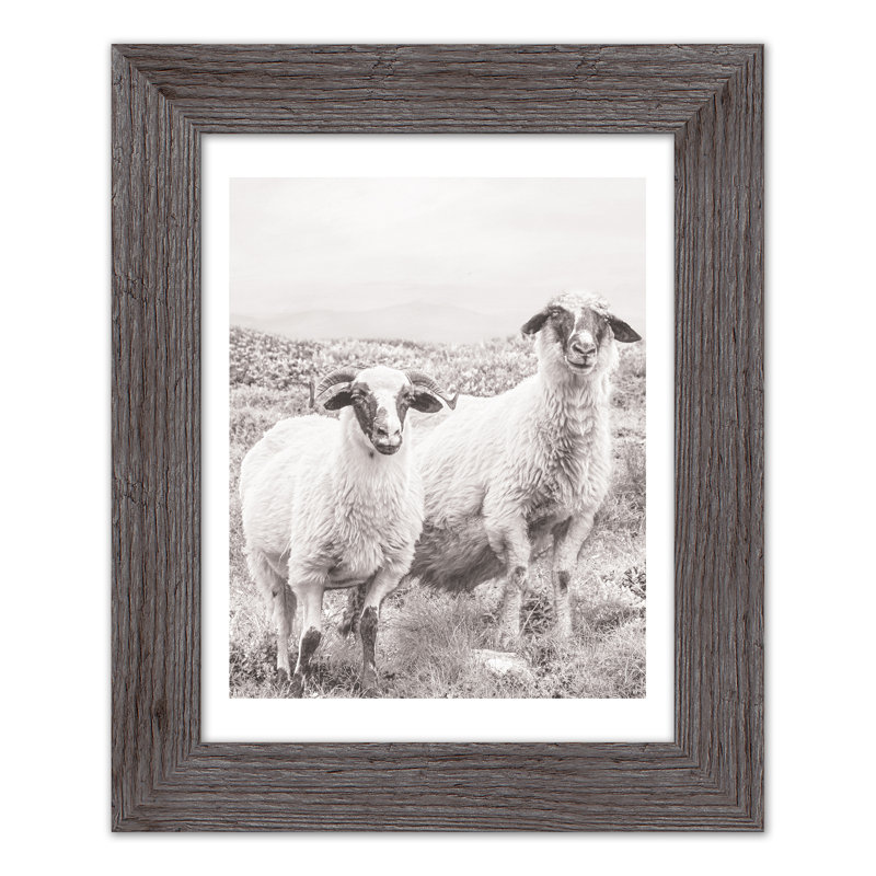 Sheep On Hill, reproduction encadrée, gris, H 14 po x l 11 po x P 0,75 po