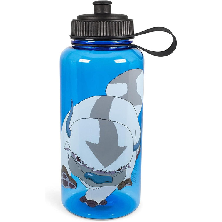 Silver Buffalo 18oz. Glass Water Bottle