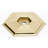 Nicole Backplate-128768545-5221064
