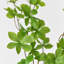 1 branche verte Audet Enkianthus Perulatus artificielle-359935824