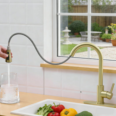 Kitchen Faucets With Pull Down Sprayer, Single Handle