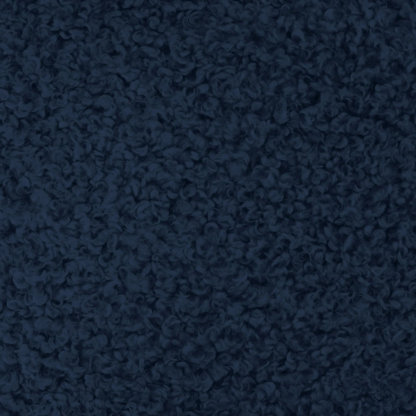 Sherpa Teddy | Kova Fabric