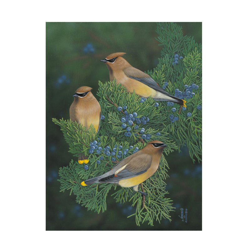«Jeff Hoff Threes Company», art sur toile, H 14 po x l 19 po
