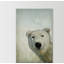 «Hello from Alaska», reproduction sur toile tendue-26825021