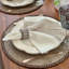 Whipstitch Vinyl Round Placemats-502381676