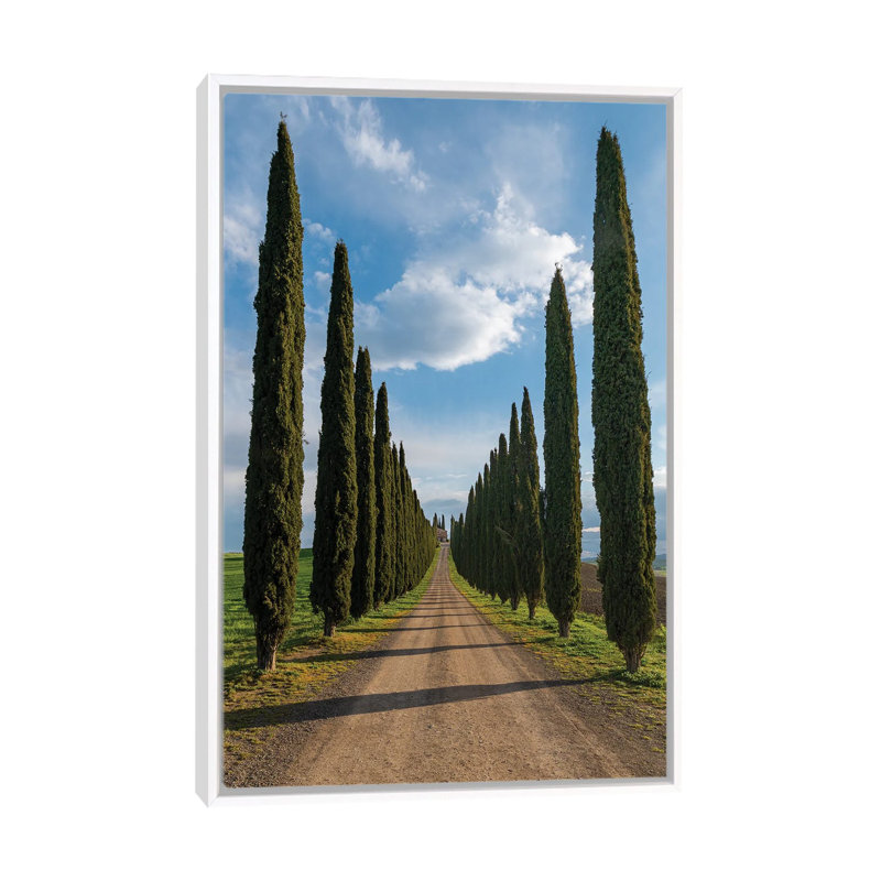 The Road To Silence - reproduction d'art murale - toile encadrée, H 40 po x l 26 po, Blanc