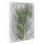 Leaf Pathways - Wrapped Canvas-56663080