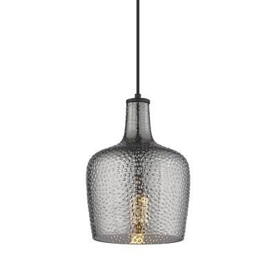 Luminaire suspendu simple à 1 lumière Weisend