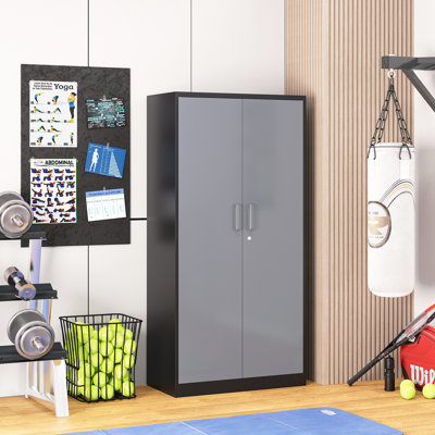 Delvale Steel Single Storage Cabinet ( 70.87'' H x 31.5'' W x 15.7'' D)