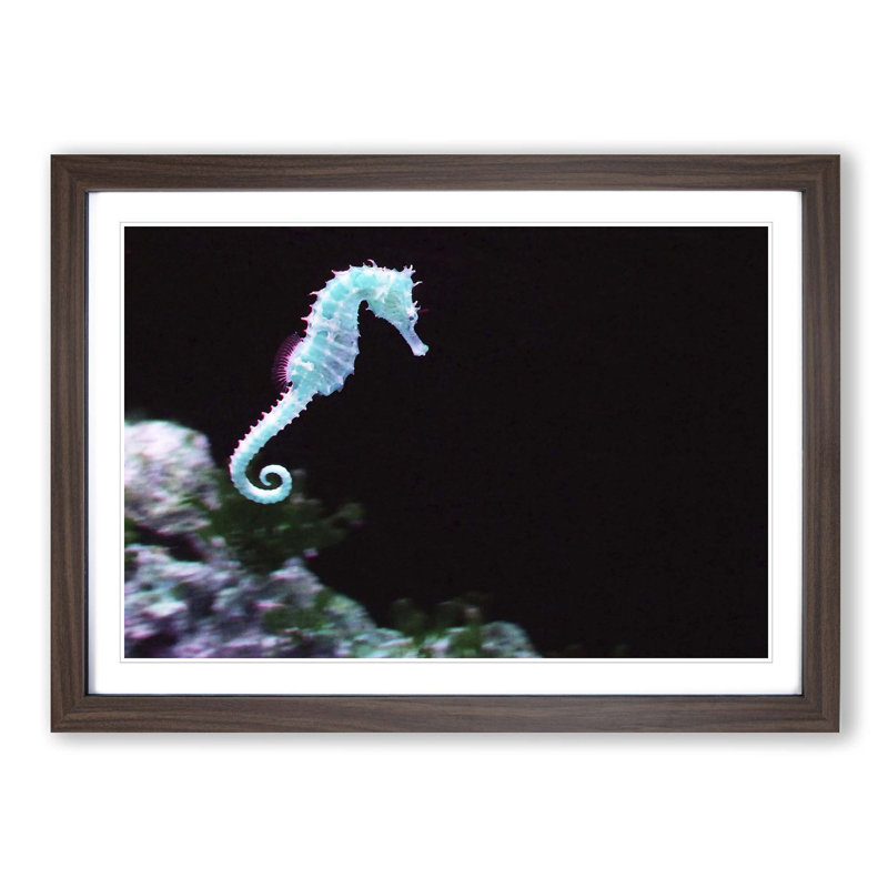 Seahorse Framed Photographic - Framed Print, Walnut