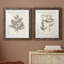 Antique sépia botanicals V - ensemble de 2 reproductions d'art sur papier encadré-1612667911-1612667904