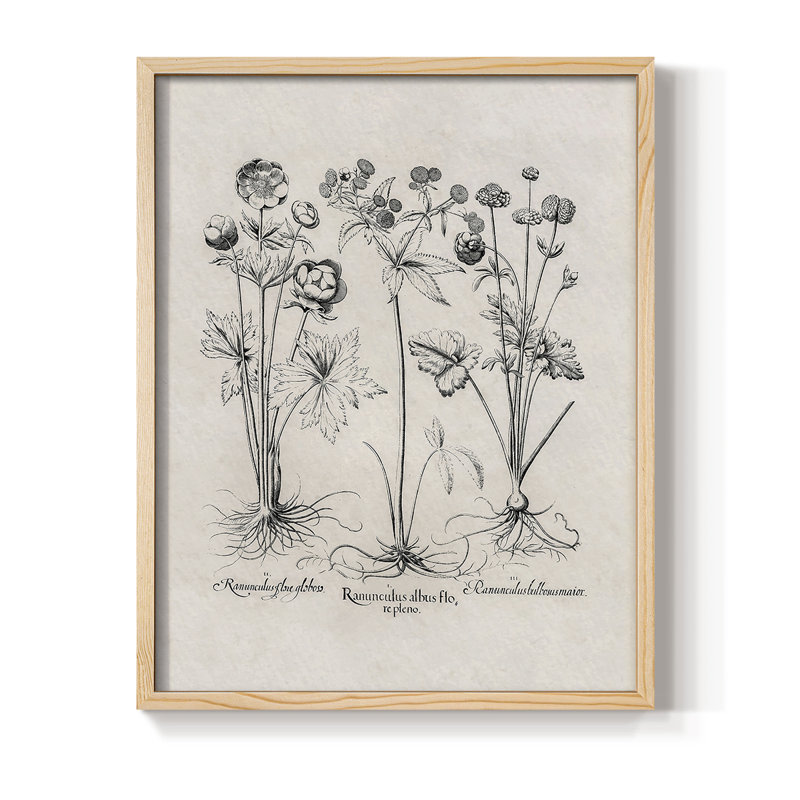 Reproduction florale rétro encadrée Cccxxv - bois massif, Naturel, H 21 po x l 17 po