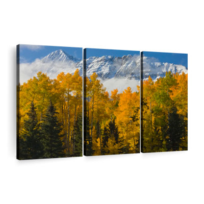 " Wilson Peak Autumn View " 3 - Pieces