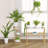 Plant Stand