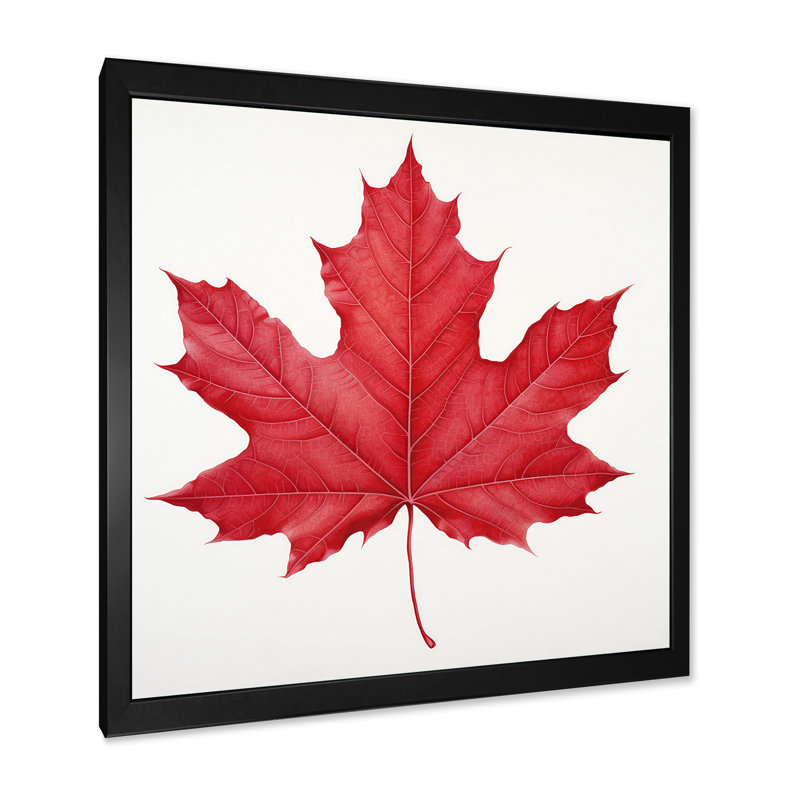 Feuille d'érable écarlate Simplicity II, H 36 po x l 36 po x P 1,5 po, Cadre simple noir