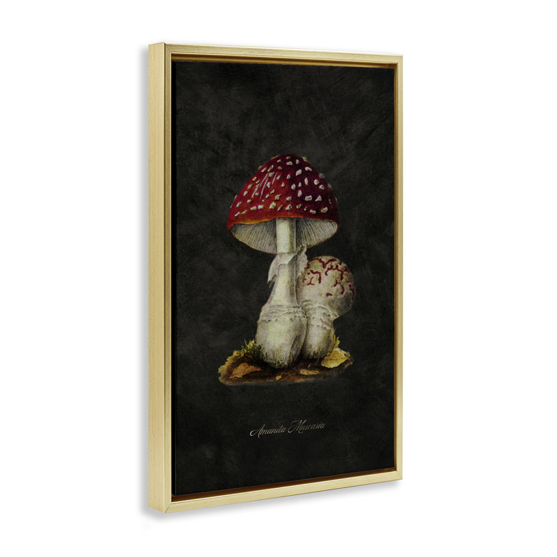 Toile flottante champignon rustique par Tina Higgins Designs, Inc., Cadre flottant métallique doré, H 25 po x l 17 po