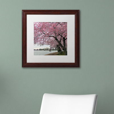 " Tidal Basin Blossoms " by CATeyes