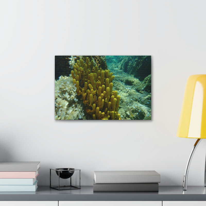 «Sponge Group Sponge Troop Print», art mural, H 11 po x l 14 po