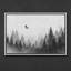 «Misty Pine Forest with Flying Bird» dans des tons monochromes, art mural encadré-1453626758-1453626754