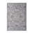 5X7 Oriental Area Rug Stain Resistant, Non-Shedding, Friendly For Living Room, Bedroom, Dining Room And High-Traffic Areas-662982715