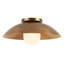 Umbra 14-in Black Semi-Flush Mount-2092125835