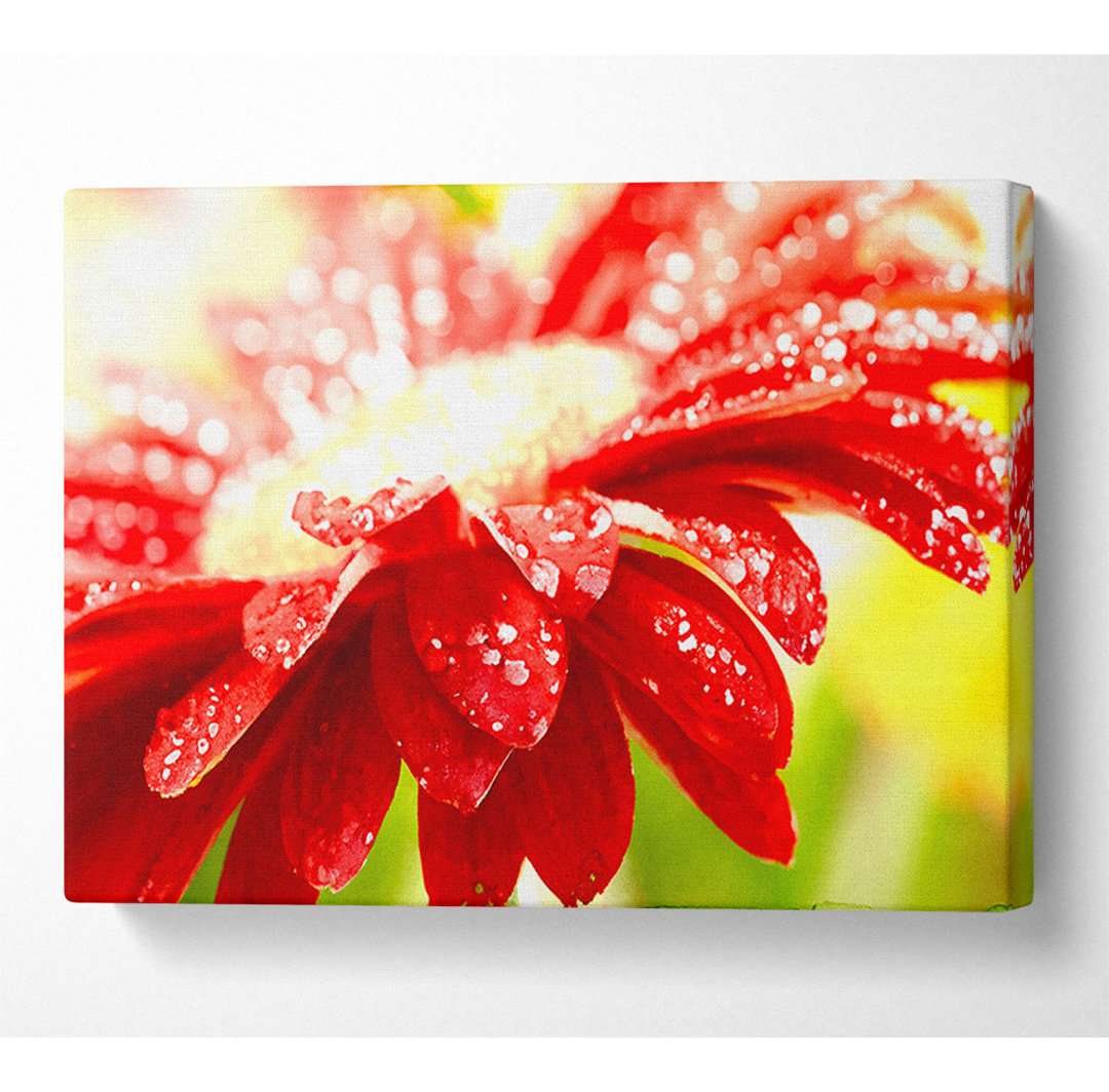 Amazing Red Flower - Kunstdrucke auf Leinwand - Wrapped Canvas