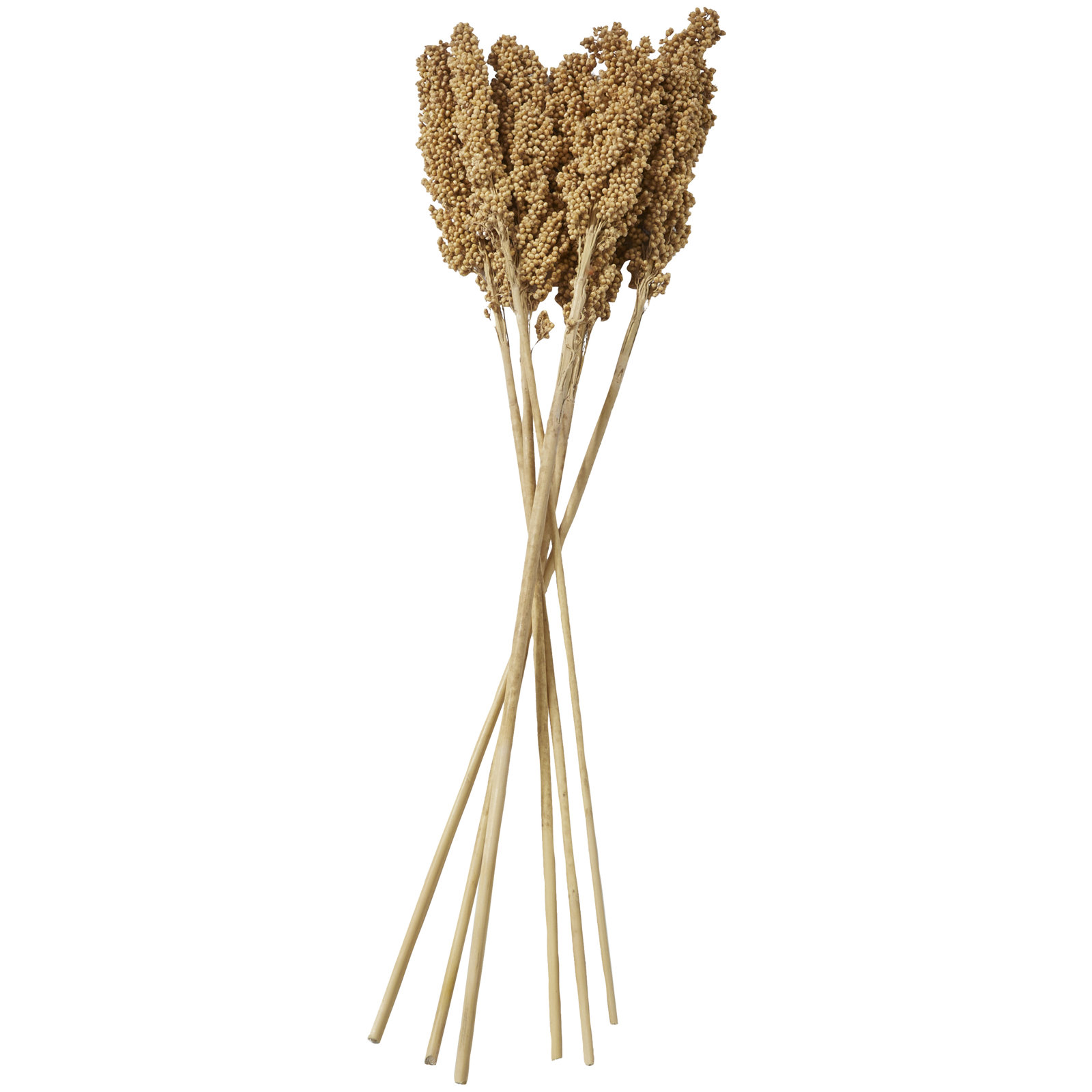 Clerkin Botanical Stems, Brown