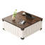 Table basse à plateau relevable avec rangement, table centrale carrée en bois
