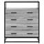 Shuntay Metal Standard Accent Chest-124351229