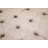 Germaine Upholstered Ottoman-23544873