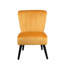 Trombly Velvet Slipper Chair-1432664453