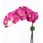 Arrangement floral orchidée en pot-70050662