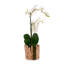 Real Touch Orchids in Glass Vase Wood Branches Planter