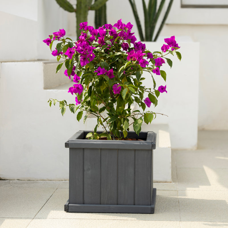 Boîte à fleurs en bois Barros, Gris