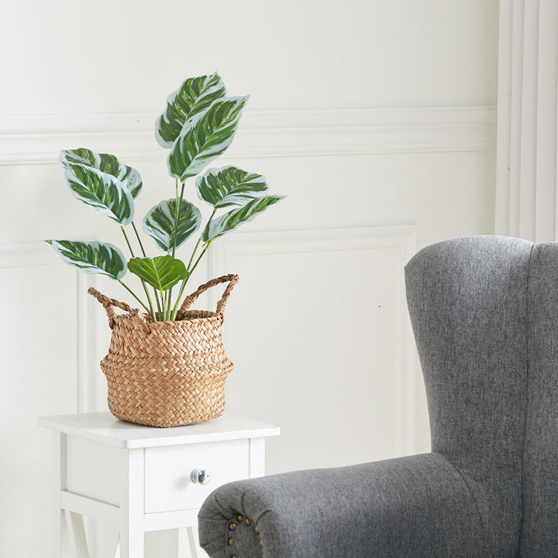 54.5cm Faux Devil's Ivy (Scindapsus Aureus) Plant in Pot
