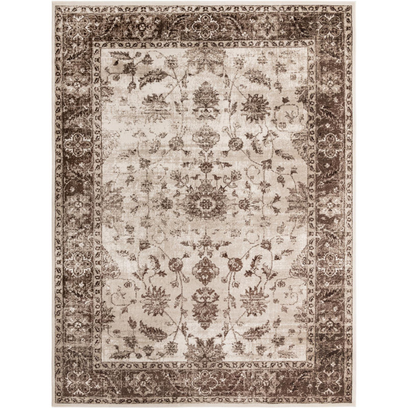 Emigdio Oriental Indoor Rug, Rectangle 9' x 12'