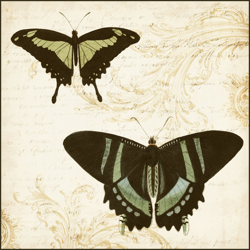 Jardin Des Papillons II - Wrapped Canvas Print, 76cm H x 76cm W x 3.8cm D