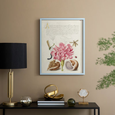 Hoefnagel Tropical Specimens VI Framed Print - Solid Wood