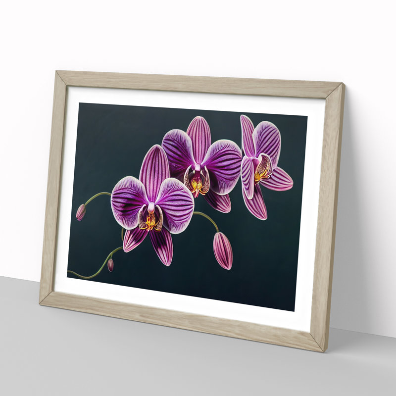 Sensational Orchid Flowers - Framed Print, 46cm H x 64cm W x 2cm D, Oak