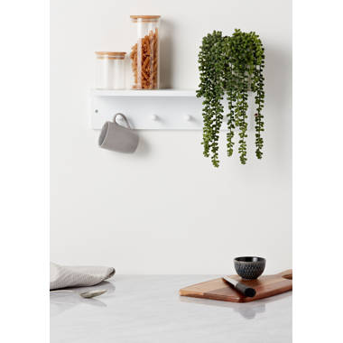 Marlow Home Co. Kanosh Floating Shelf with Hooks